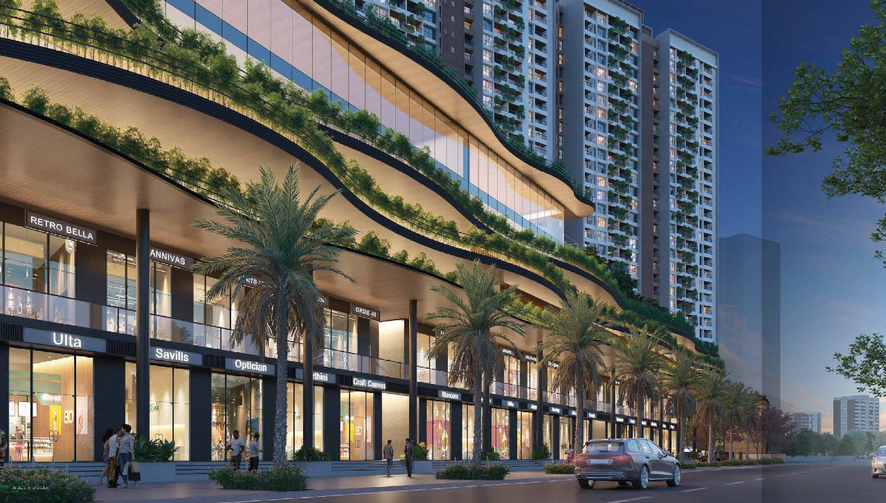 Austin Yana Highlights